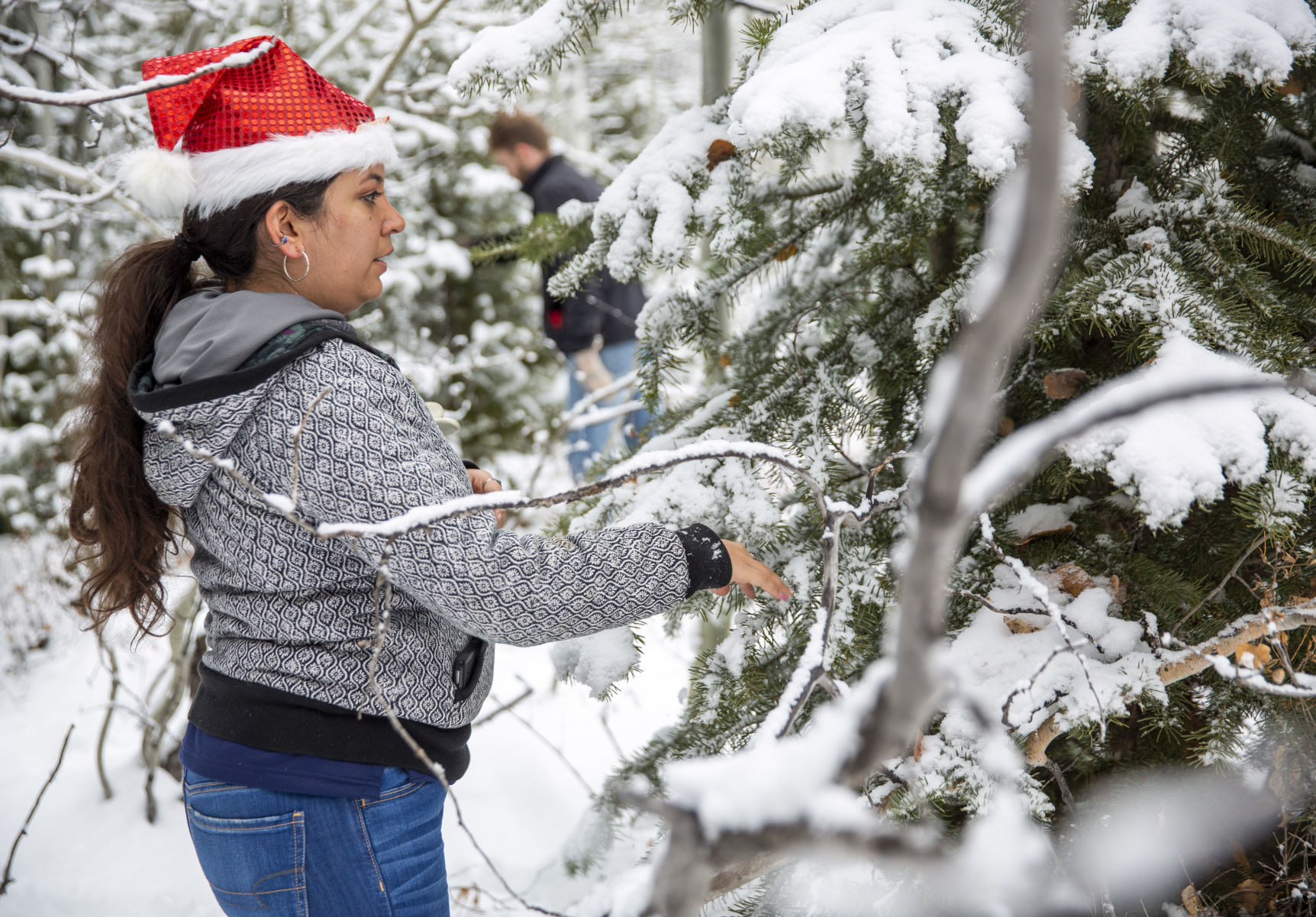 Picking the perfect tree